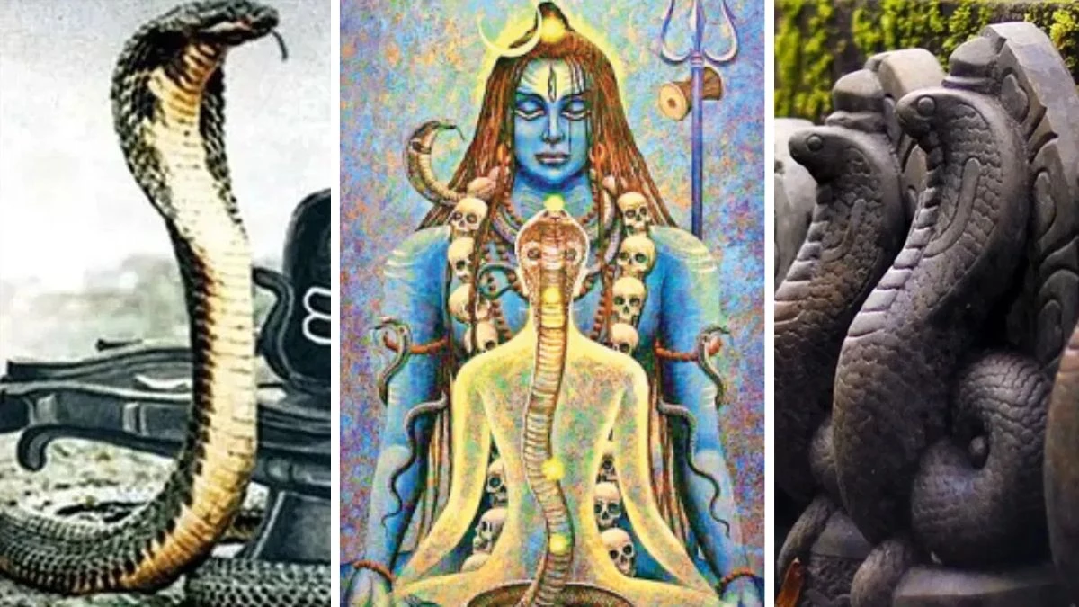 Nag Panchami 2025 Puja: मध्य प्रदेश के इस शहर में नागदेव को गुरु मानकर की जाती है पूजा, गुलाब का फूल चढ़ाने का विशेष महत्व