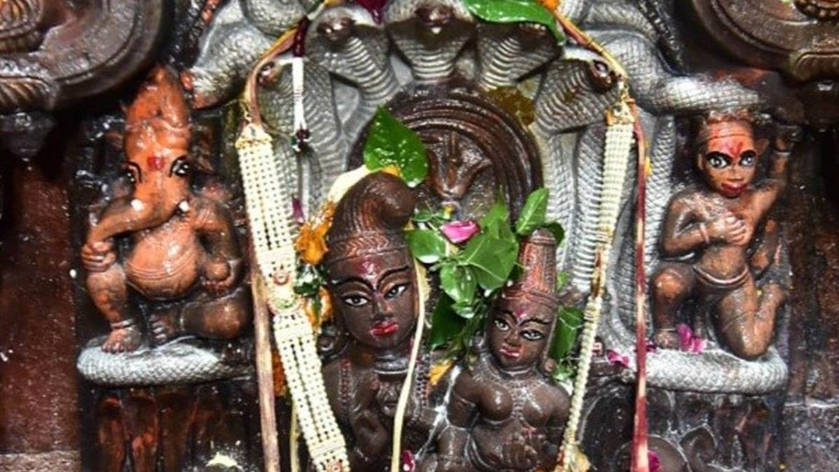 नागपंचमी पर उज्‍जैन में 24 घंटे में 5 लाख से अधिक भक्तों ने किए नागचंद्रेश्वर के दर्शन
