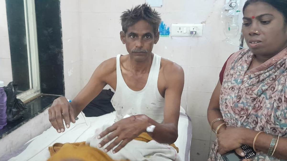 भिंड में घर के अंदर घुसकर बंदर ने किया हमला, भगाने के लिए 20 मिनट तक करनी पड़ी मशक्कत