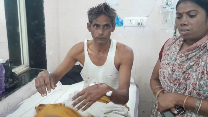 भिंड में घर के अंदर घुसकर बंदर ने किया हमला, भगाने के लिए 20 मिनट तक करनी पड़ी मशक्कत