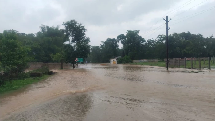झमाझम बारिश से टोण्डिया नाला उफान पर, बालाघाट के वारासिवनी-लालबर्रा मार्ग पर थम गईं गाड़ियां