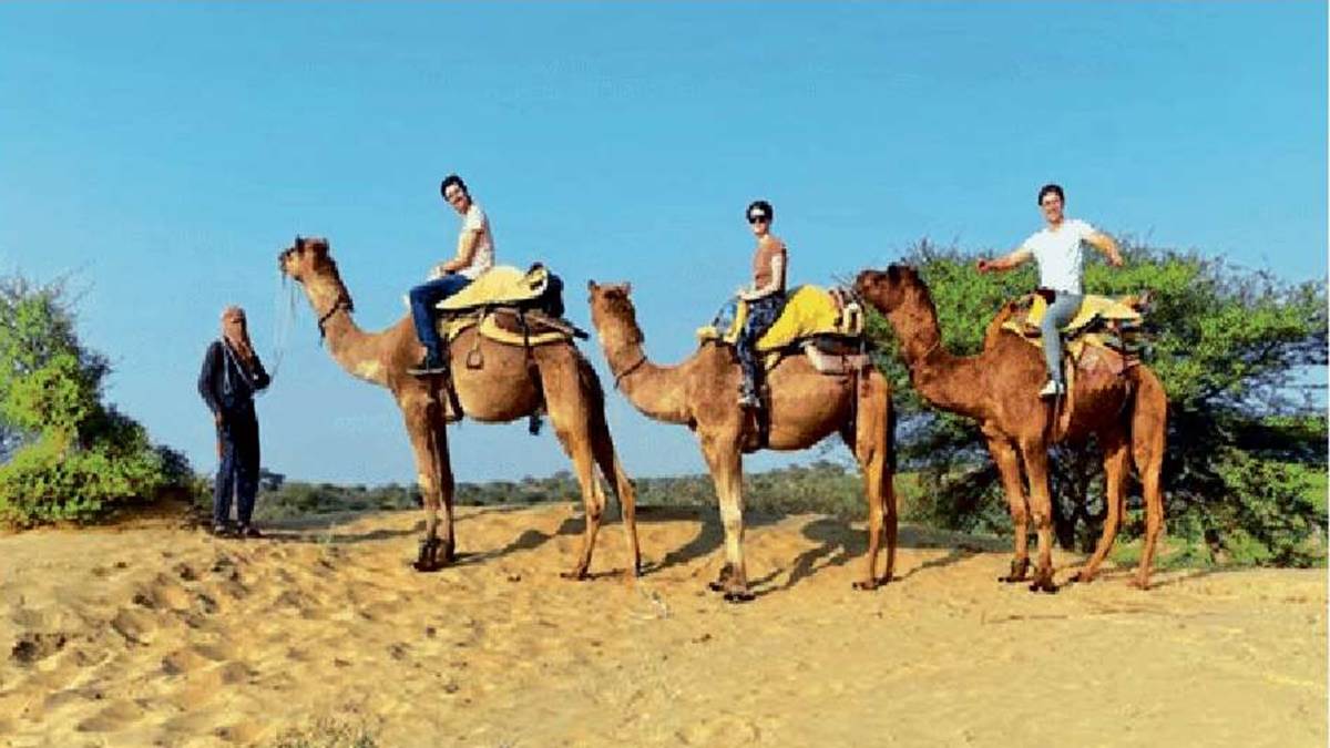 Bhind News: चंबल किनारे ले सकेंगे ऊंट सफारी का लुत्फ