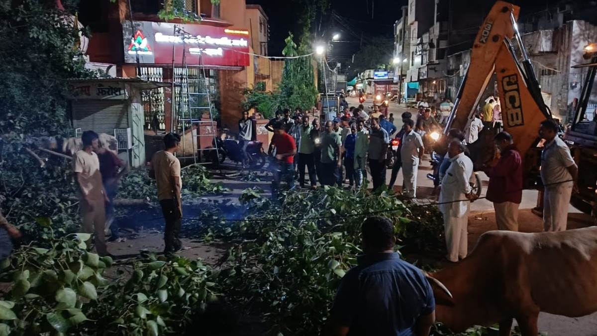 MP News: बड़वानी में बड़ा हादसा, मोटी माता मंदिर के बाहर गिरा पीपल का पेड़, दुकानें और स्कूटी क्षतिग्रस्त