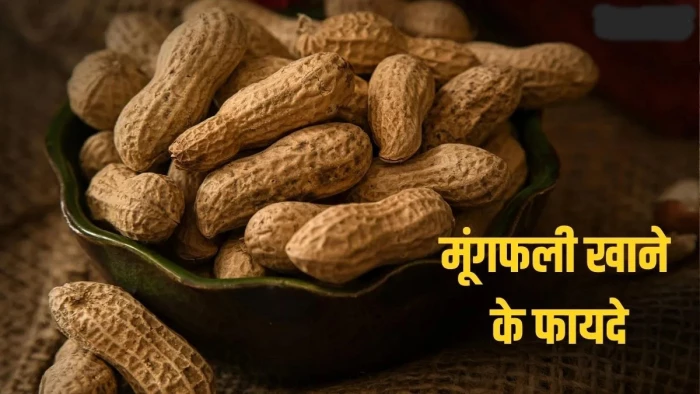 स्किन ग्लो से लेकर वेट लॉस में मददगार होती है मूंगफली, प्रोटीन और कार्ब्स का भी रिच सोर्स