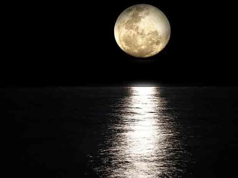 Sharad Purnima 2020 : आज रात रहेगा अश्विनी नक्षत्र, इन राशि वालों को होगा  लाभ - Sharad Purnima 2020: Ashwini Nakshatra will be tonight, these zodiac  signs will benefit
