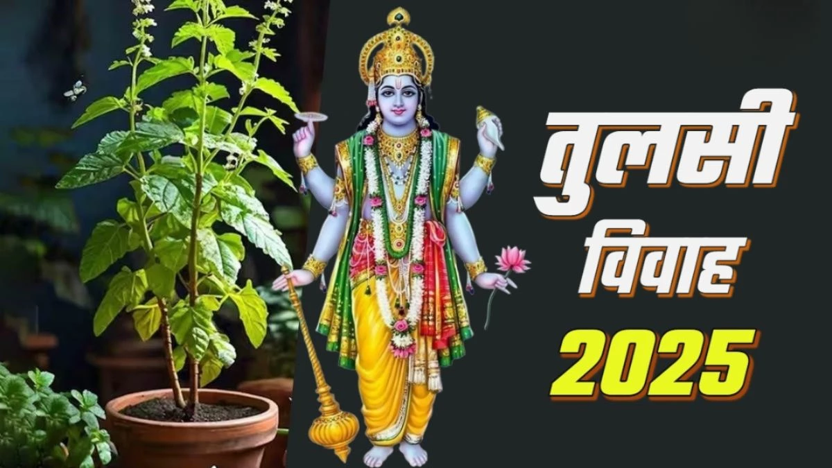 Tulsi Vivah 2025: तुलसी विवाह पर करें इस चालीसा का पाठ, दूर होंगी वैवाहिक परेशानियां; बढ़ेगा प्यार