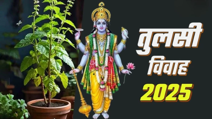 Tulsi Vivah 2025: तुलसी विवाह पर करें इस चालीसा का पाठ, दूर होंगी वैवाहिक परेशानियां; बढ़ेगा प्यार