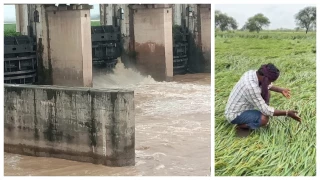 कोरबा में चक्रवात अर्णब का कहर, 30 प्रतिशत रकबे में धान की फसल धराशायी, किसानों की आंखें नम