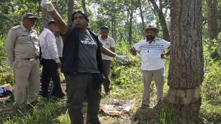 छत्तीसगढ़ के उदंती में 3500 पेड़ों को सुखाने की साजिश, बेंगलुरु से आए ट्री डॉक्टर ने लगाया मलहम