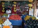 बिलासपुर में पहुंचा दिल्ली के आम, थाईलैंड के अंगूर व अमेरिकन सेब