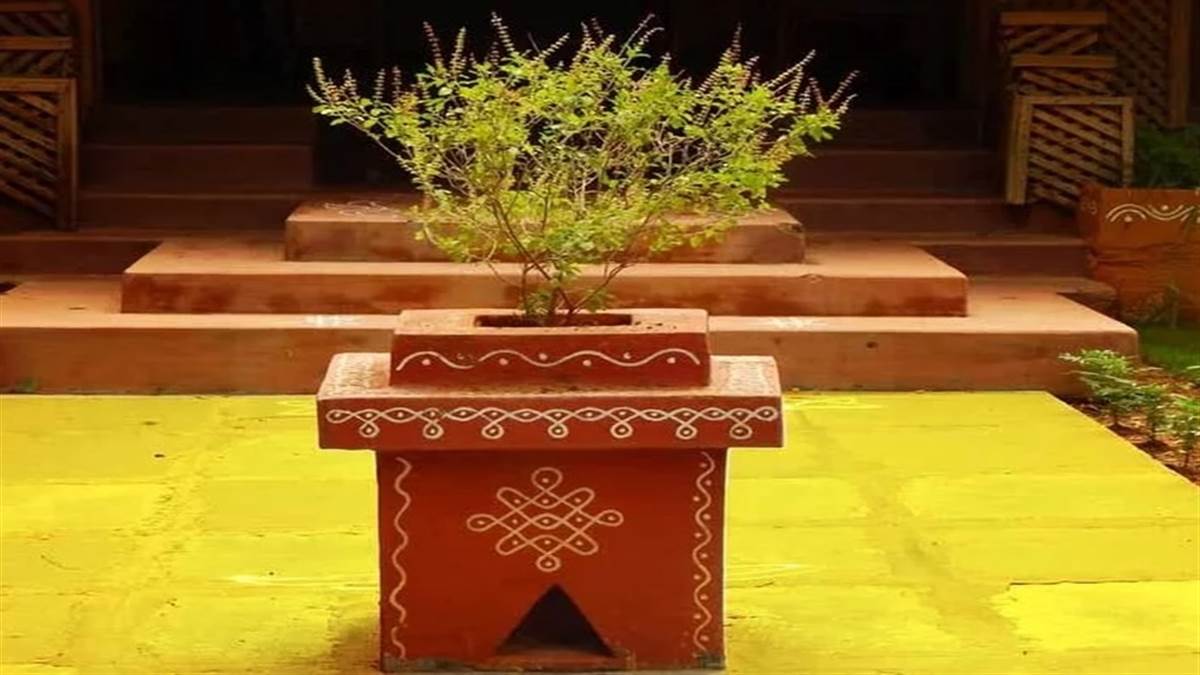 Tulsi Plant Direction: आर्थिक तंगी से पाना है छुटकारा तो इस दिशा में रखें तुलसी का पौधा, मां लक्ष्मी की मिलेगी कृपा