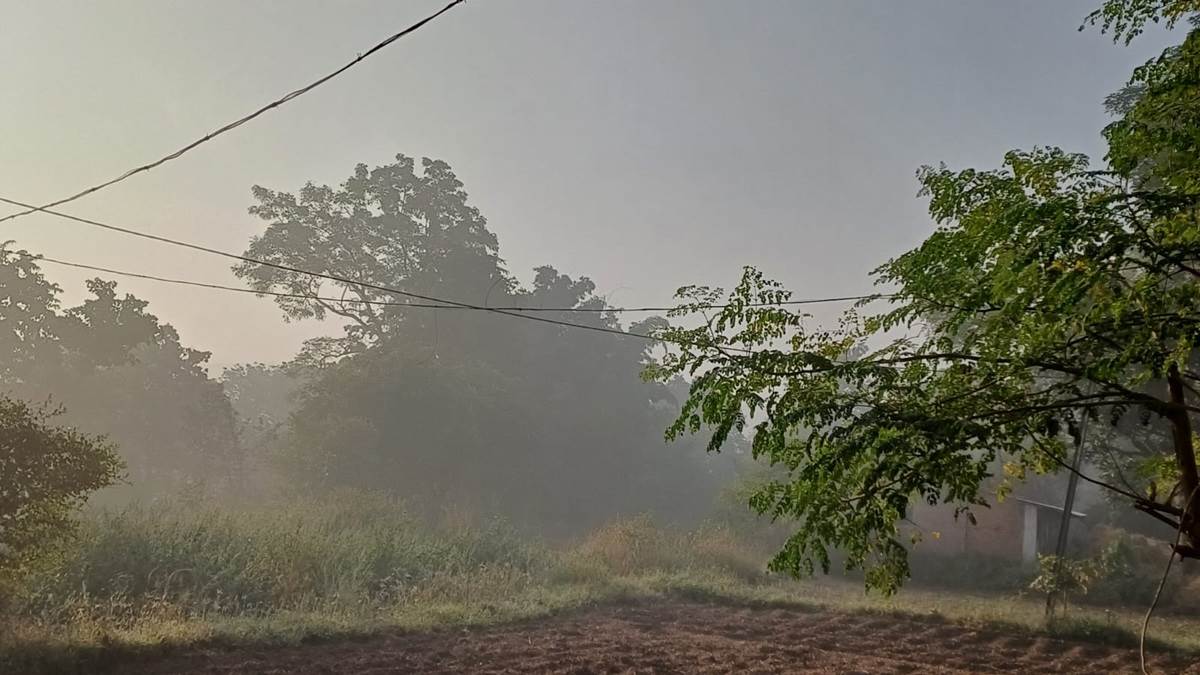 36 वर्षों बाद सरगुजा में नवंबर माह सबसे सर्द, शुक्रवार को न्यूनतम तापमान रिकार्ड 7.2 डिग्री पहुंचा