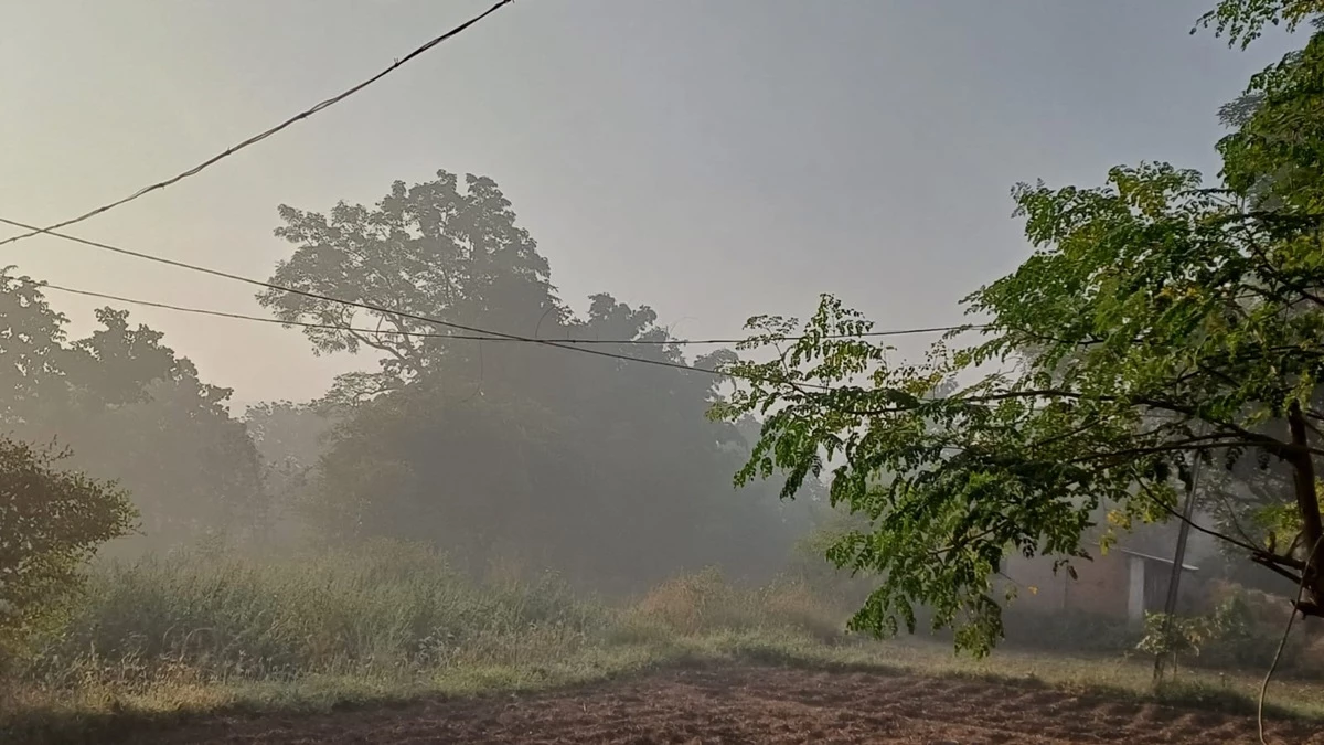 36 वर्षों बाद सरगुजा में नवंबर माह सबसे सर्द, शुक्रवार को न्यूनतम तापमान रिकार्ड 7.2 डिग्री पहुंचा
