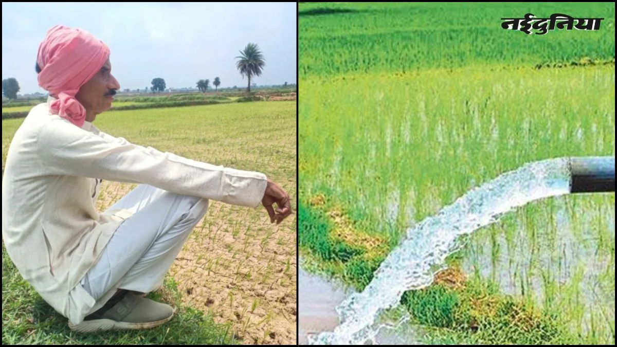 किसानों की बढ़ी परेशानी, रात में सिंचाई का नया शेड्यूल बना सिरदर्द, बिजली सप्लाई के समय में बदलाव