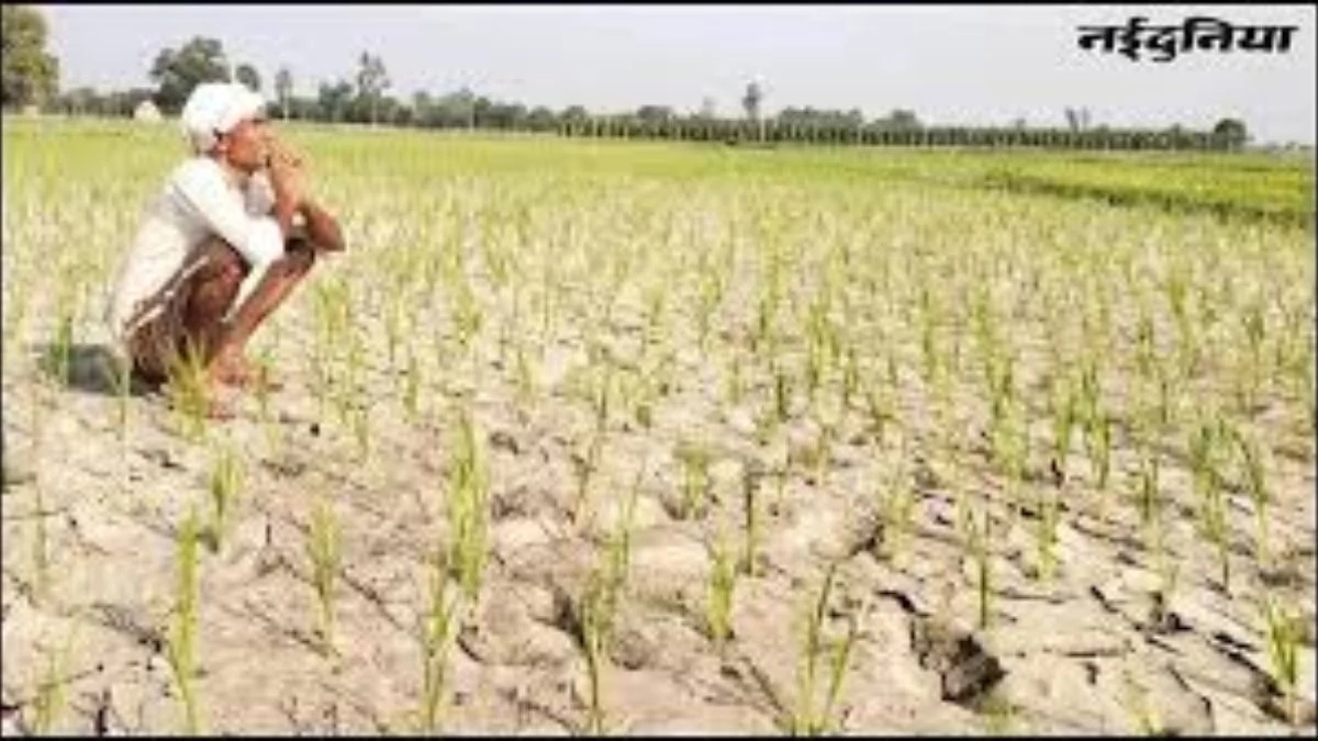 अगर आपकी जमीन भी हो रही है बीमार तो जांचे मिट्टी की 'नब्ज' और बढ़ाएं पैदावार