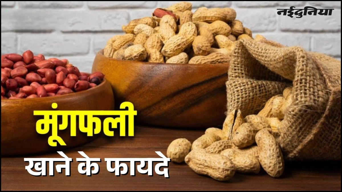 सर्दियों का 'सुपरफूड' है मूंगफली, दिल को रखे जवान और वजन घटाने में मददगार, जानें इसके बेमिसाल फायदे