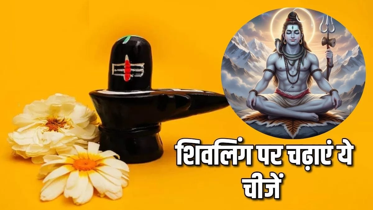 शिवलिंग पर अर्पित करें ये वस्तुएं, दूर होंगे कष्ट और मिलेगा सुख-समृद्धि का वरदान