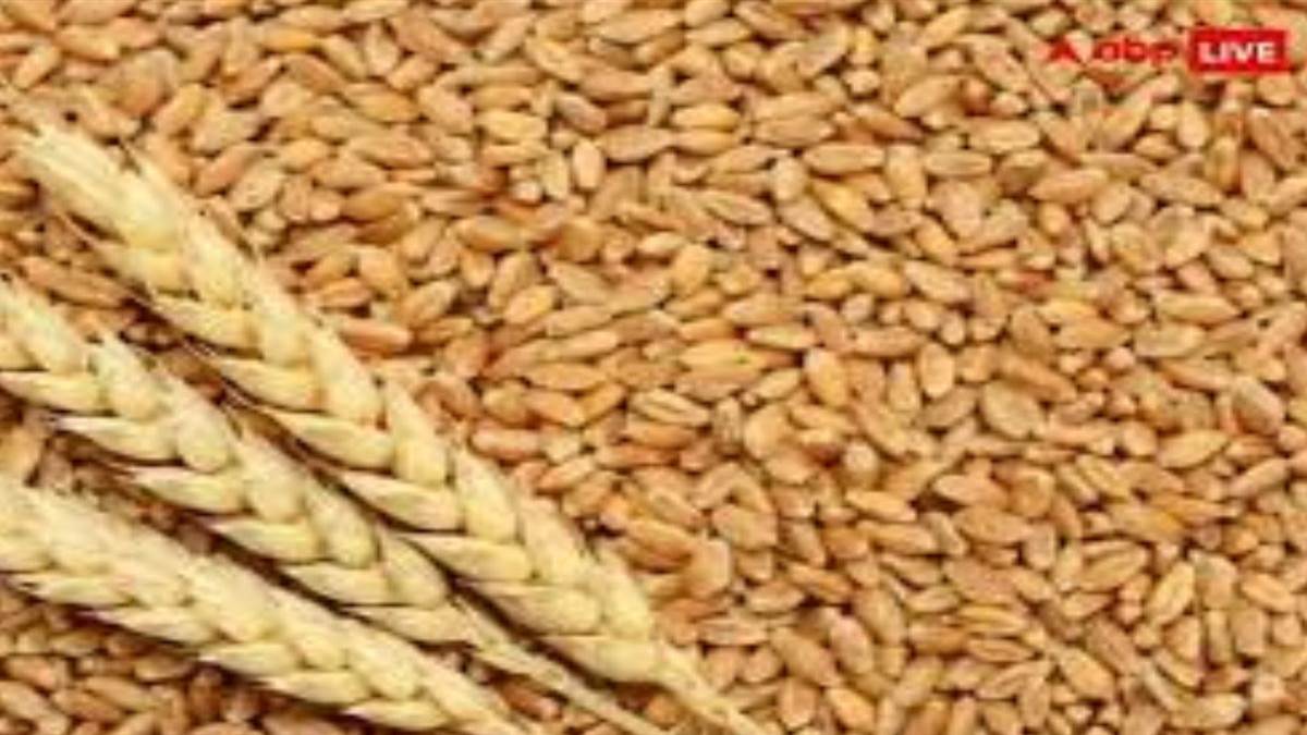 Gwalior  inflation news: गेहूं के दाम से बढ़े आटा के भाव,पैक खाद्या सामग्री पर पांफीसद जीएसटी ने बढ़ाई महंगाई