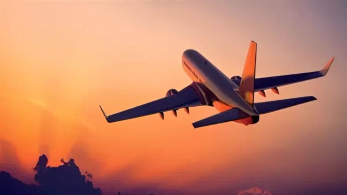 बाल-बाल बचे 132 यात्री, लखनऊ-रायपुर फ्लाइट की लैंडिंग के दौरान रनवे पर आया बंदर, पायलट की सूझबूझ से टला हादसा