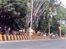 Damoh Lockdown News: Janata curfew extended in Damoh district till June 7