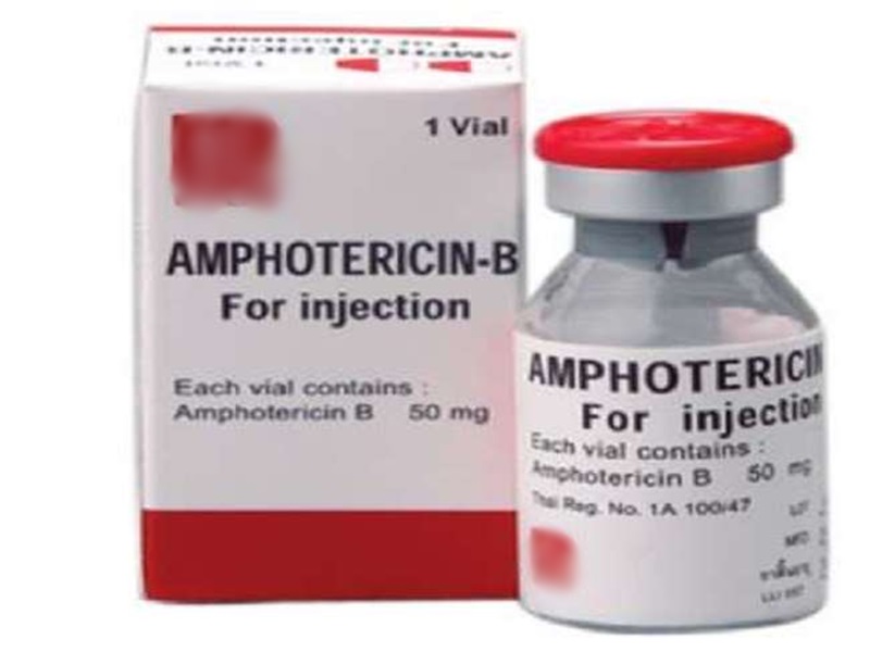 Black Fungus in Indore: Amphotericin-B injection necessary to treat black fungus in Indore