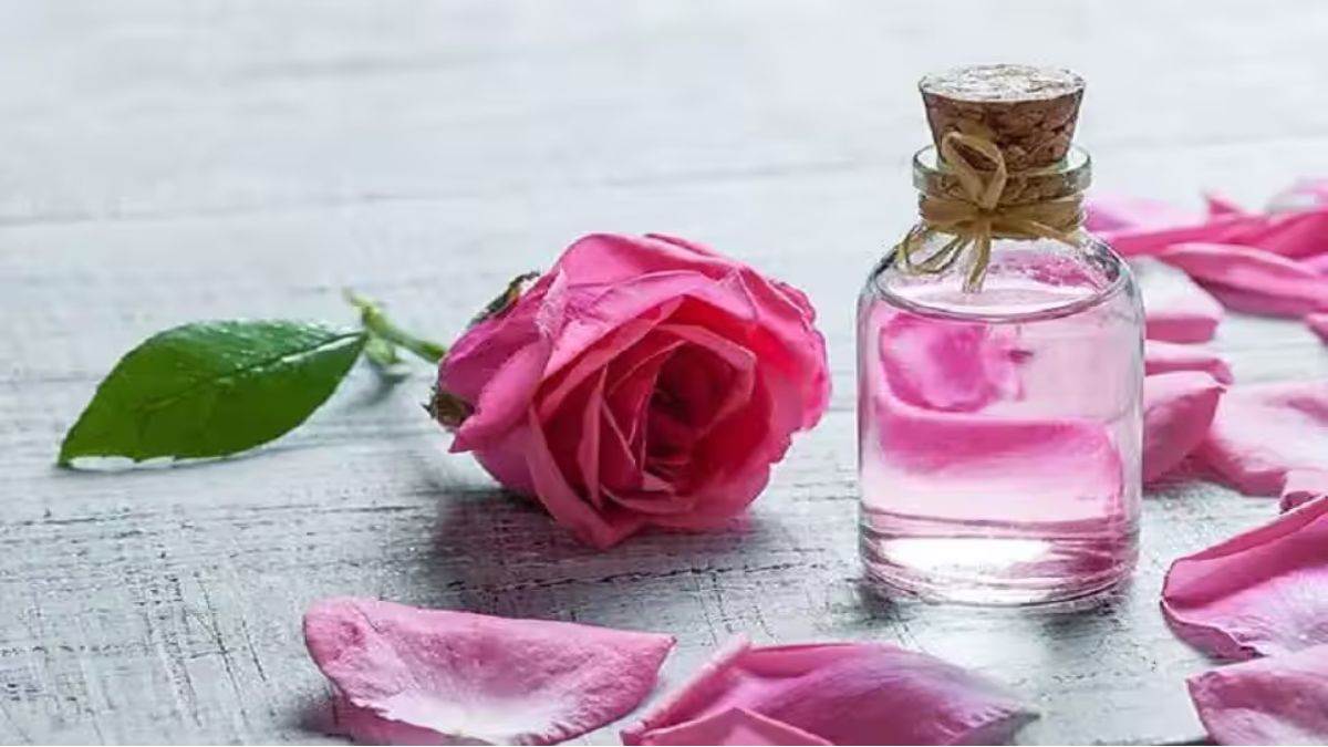 Rose Water Cubes: गुलाब जल आइस क्यूब्स का इस तरह करें इस्तेमाल, स्किन पर आएगा गजब का ग्लो