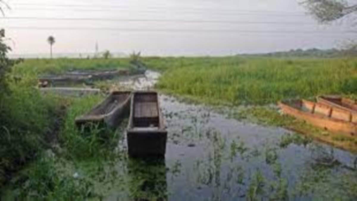 Bhopal News भोज वेटलैंड की 1097 हेक्टेयर भूमि पर्यावरण वानिकी वनमंडल