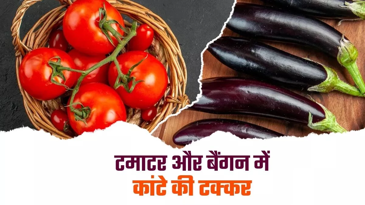 Sabzi ke Bhav: मानसून का असर... टमाटर-बैंगन किचन से आउट, हरी सब्जियों ने भी 'ना' कहा