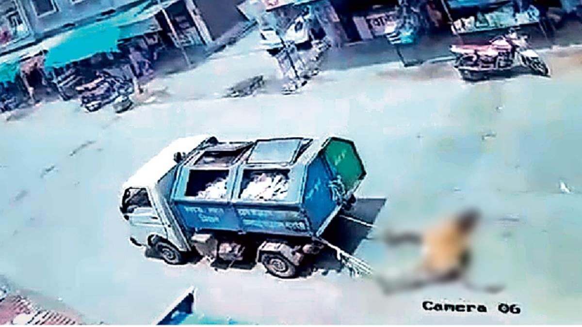 बैतूल के झल्लार गांव में मृत गाय को कचरा वाहन से घसीटने पर बवाल, पंचायत सचिव को नोटिस थमाया