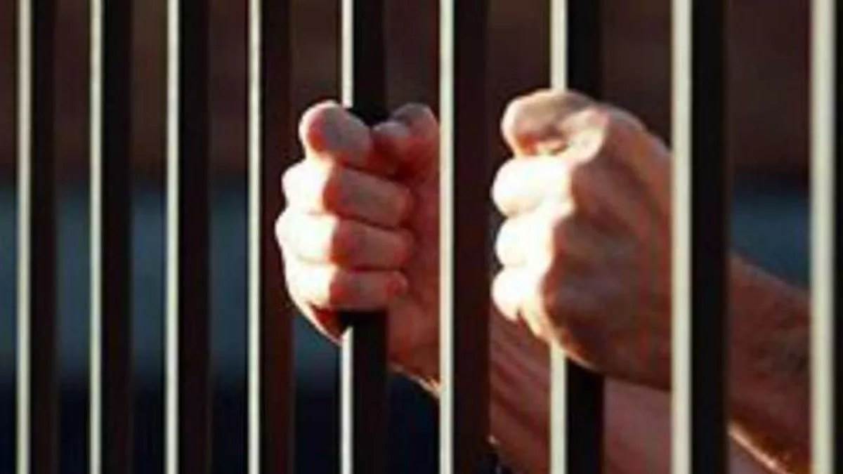 छत्तीसगढ़ में पत्नी को पेट्रोल डालकर जिंदा जलाने वाले पति को उम्रकैद, रायपुर कोर्ट सख्त; कहा- 'ऐसे जघन्य अपराध में नरमी नहीं'