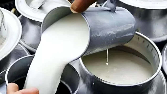 खाद्य सुरक्षा विभाग का बड़ा एक्शन... नामचीन स्कूलों और डेयरियों पर छापा; दूध के 3 सैंपल फेल, 64 भोपाल भेजे