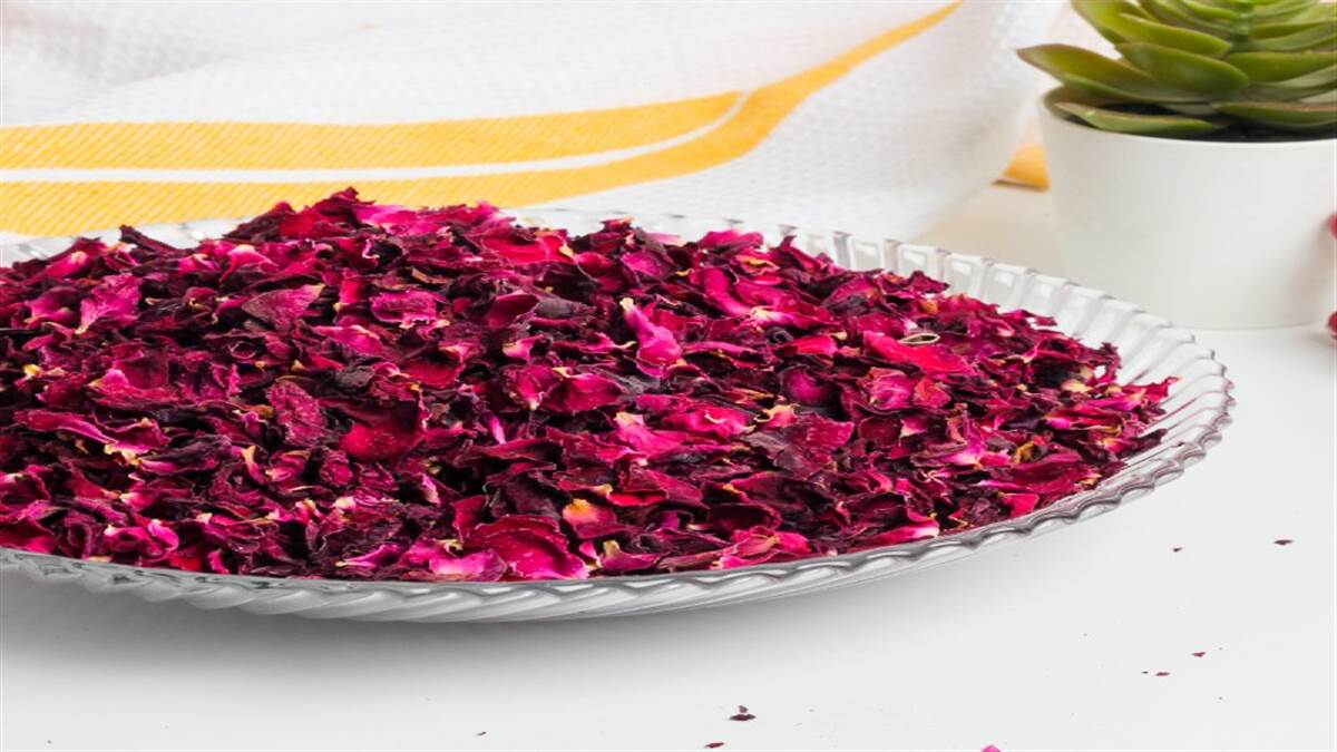 Vastu Tips For Rose Petals घर के इस स्थान पर रखें गुलाब की पंखुड़ियां