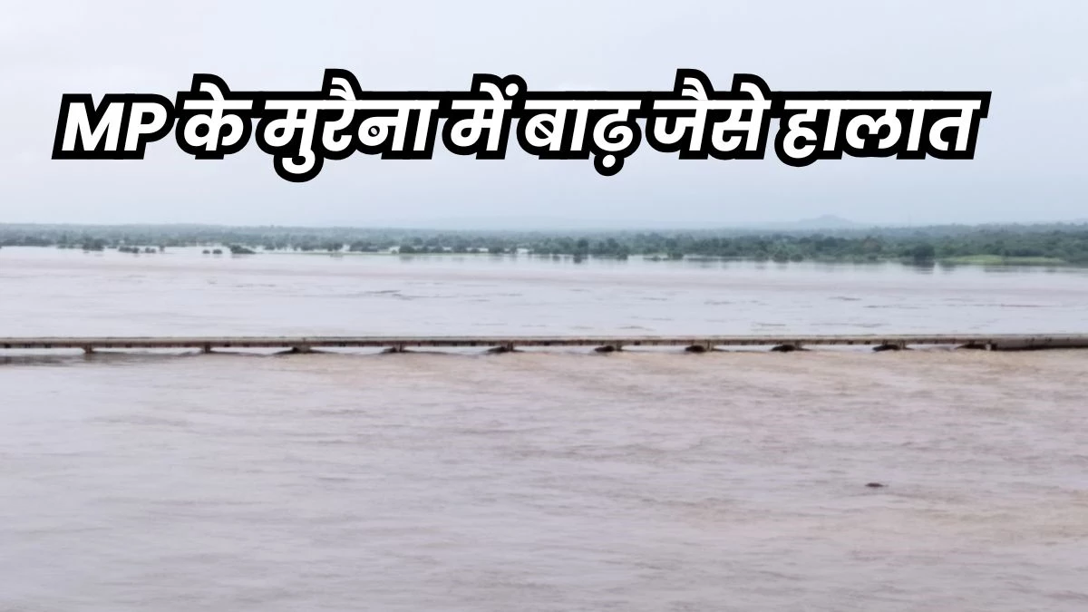 मुरैना की चंबल नदीं में पानी खतरे के निशान से 1.20 मीटर ऊपर पहुंचा, पांच गांव खाली करवाए गए