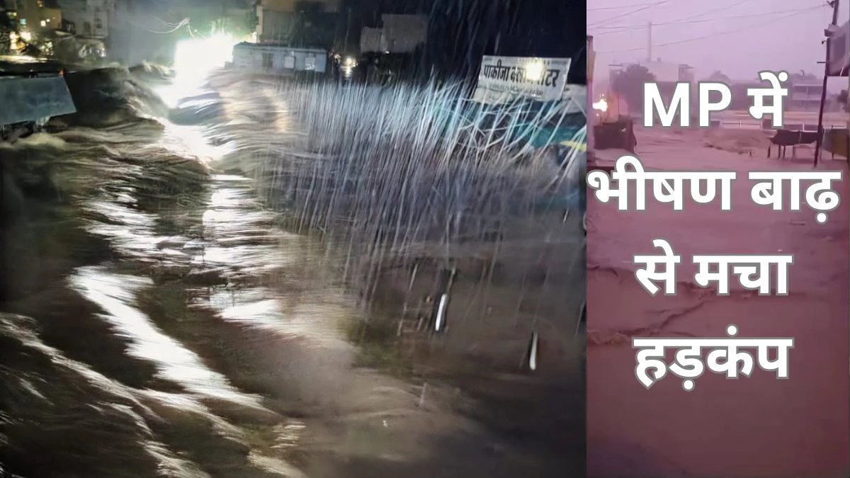 MP की डेब नदी में भीषण बाढ़ से मचा हड़कंप, 15 साल का टूटा रिकॉर्ड; पुल से नीचे गिरी बच्ची