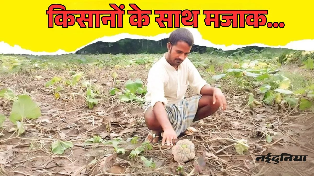 MP में किसानों के साथ मजाक, फसल बीमा के नाम पर पूरे गांव को मिले सिर्फ 17 रुपए