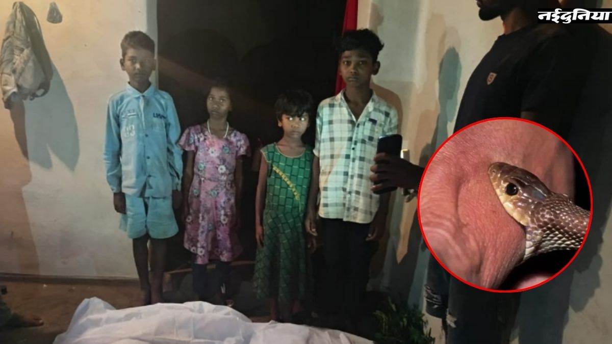 सांप ने चार मासूमों को कर दिया अनाथ, जमीन पर सो रहे पति-पत्नी को डस लिया