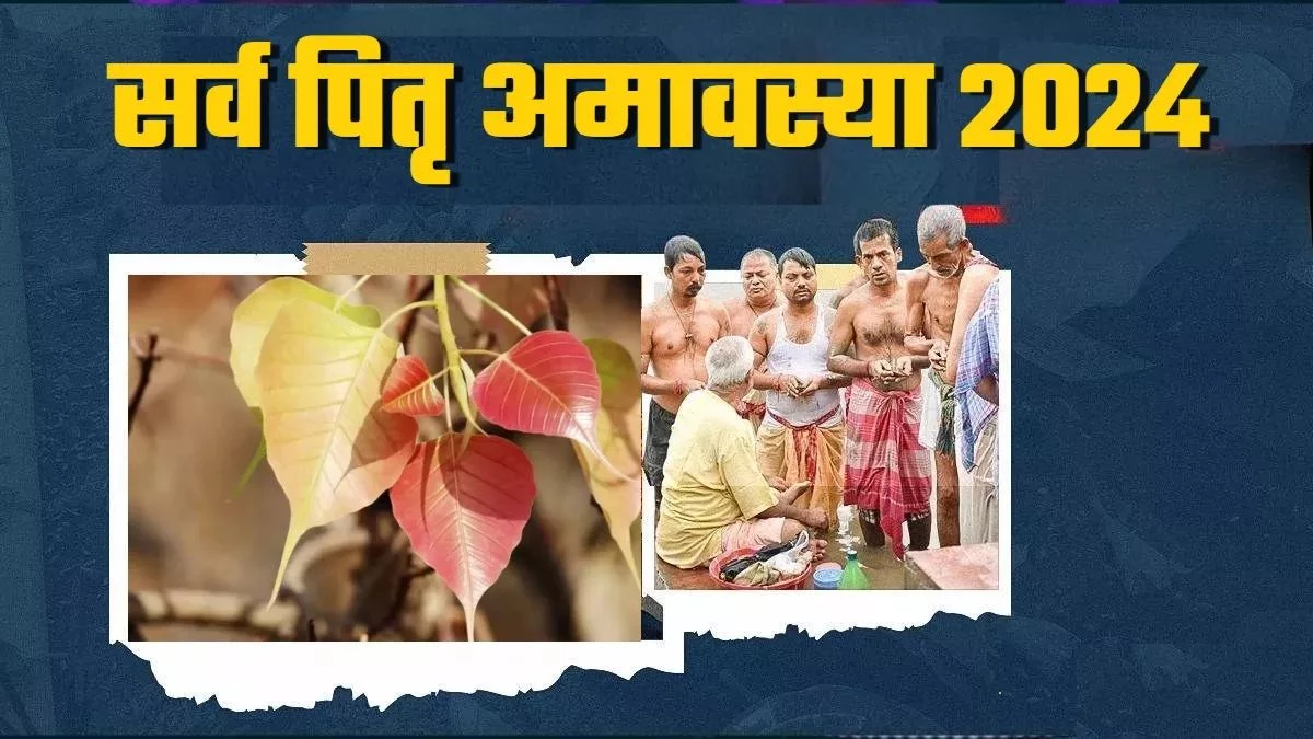 Sarva Pitru Amavasya 2024: सर्व पितृ अमावस्या पर तर्पण करने से मिलेगा पूरे 16 दिन के श्राद्ध का फल