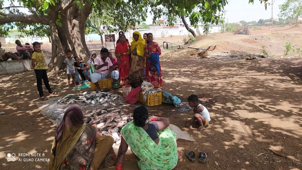 महिला संगठनों और मत्स्य पालन समितियों को भारी वित्तीय सहायता मिलती है और उत्पादन बढ़ता है