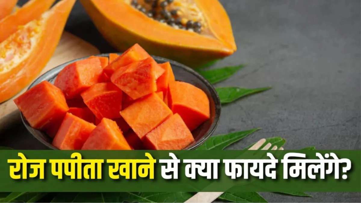Health Benefits of Papaya: क्या होगा अगर रोज सुबह खाली पेट खाएंगे पपीता? जानें हैरान करने वाले सेहतमंद फायदे