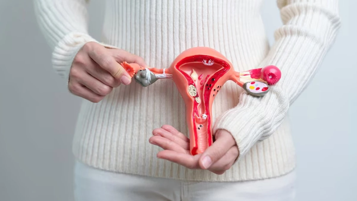 PCOS Awareness Month: क्‍या होता है पीसीओएस, महिलाओं में बढ़ रहे केस, इन तरीकों से हो सकता है निदान