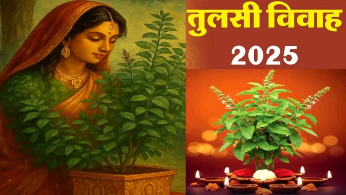 Tulsi Vivah 2025: तुलसी विवाह कब है? जानें सही तिथि, शुभ मुहूर्त, पूजा विधि और खास उपाय