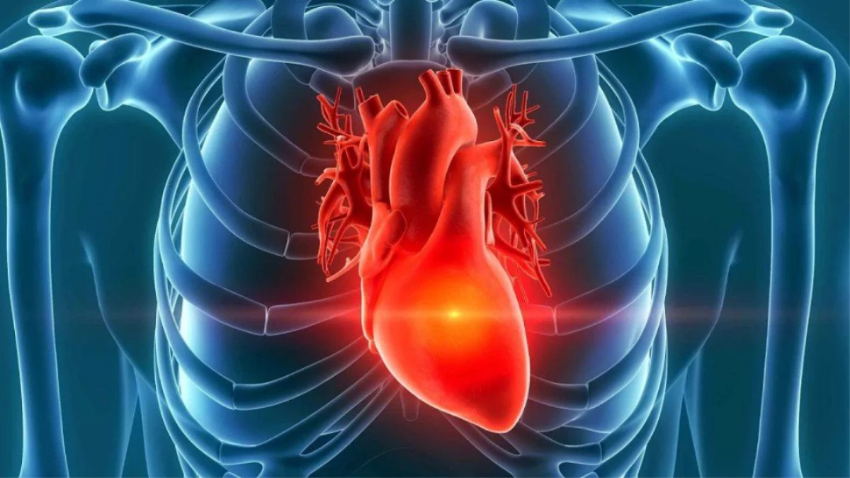 बदलते मौसम में तेजी से बढ़ रहा Heart Attack का खतरा, एक्सपर्ट से जानें बचाव के आसान तरीके