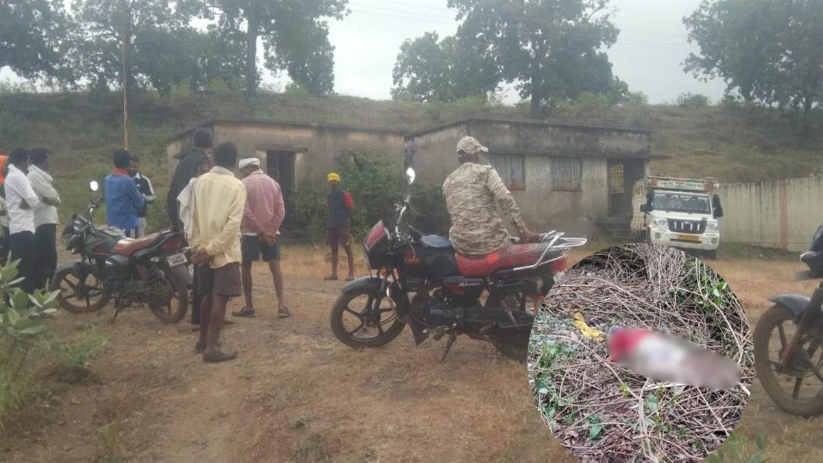 डिंडौरी में हाथी ने वृद्ध को कुचला, दो दिन पहले डोभी में भी ले चुका है जान