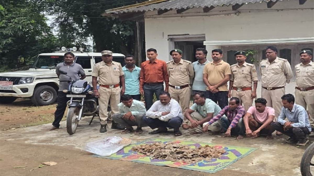 बस्तर में वन विभाग की बड़ी कार्रवाई, गीदम में 14 किलो पैंगोलिन शल्क के साथ छह आरोपी गिरफ्तार