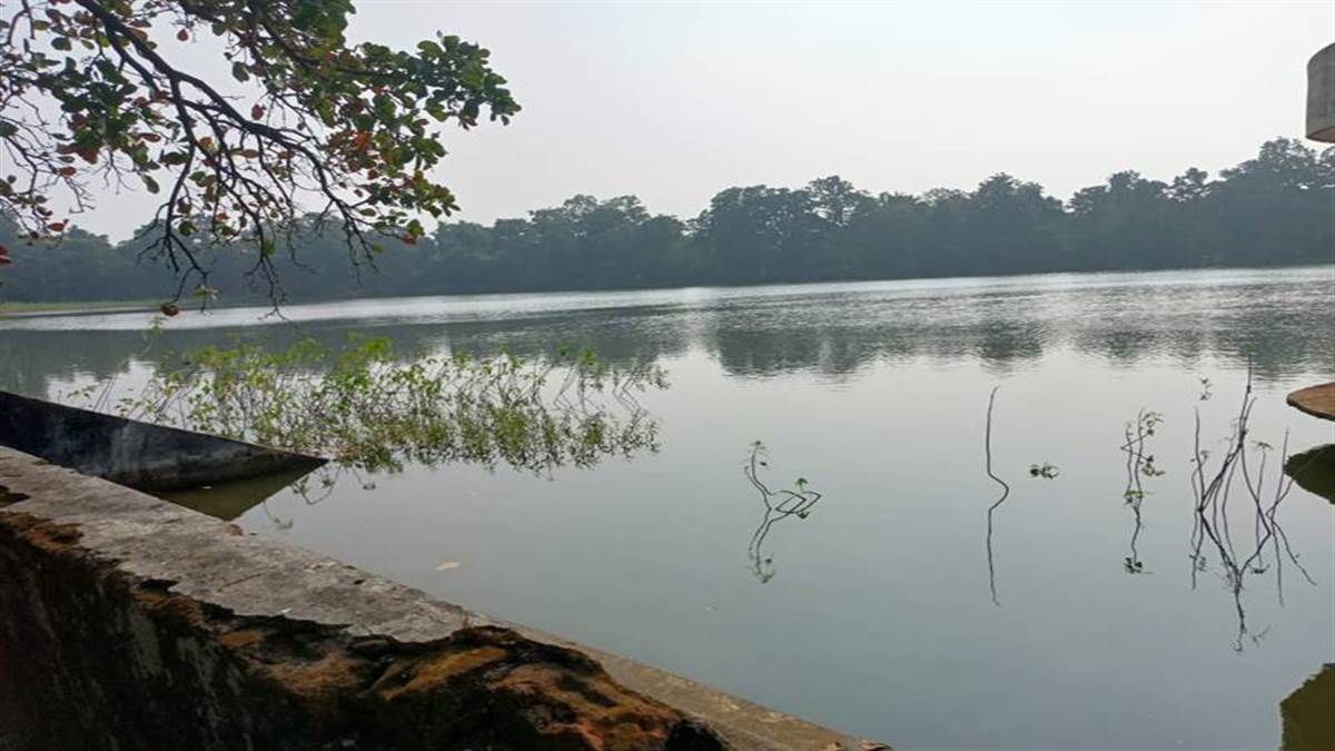 Kondagaon special story: संरक्षण का बाट जोह रहा 11वीं सदी का ऐतिहासिक मेढर तालाब, तालाब में हमेशा रहता है पानी