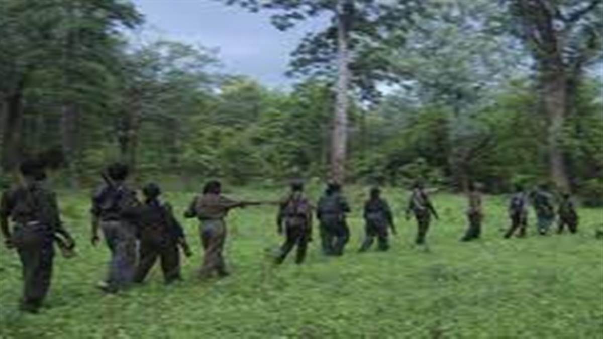 Naxal in MP: बालाघाट के जंगल में मुठभेड़ में दो नक्सलियों के मारे जाने की हुई पुष्टि