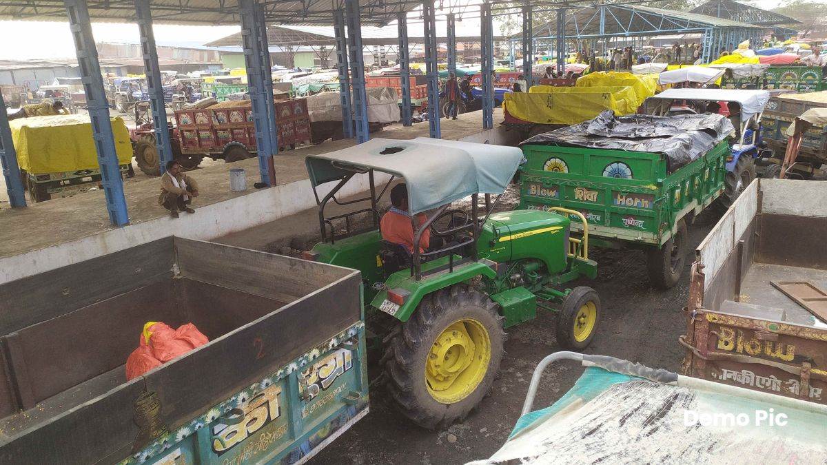 Sehore News मंडी में 15 हजार क्विंटल से अधिक उपज की आवक, किसानों को