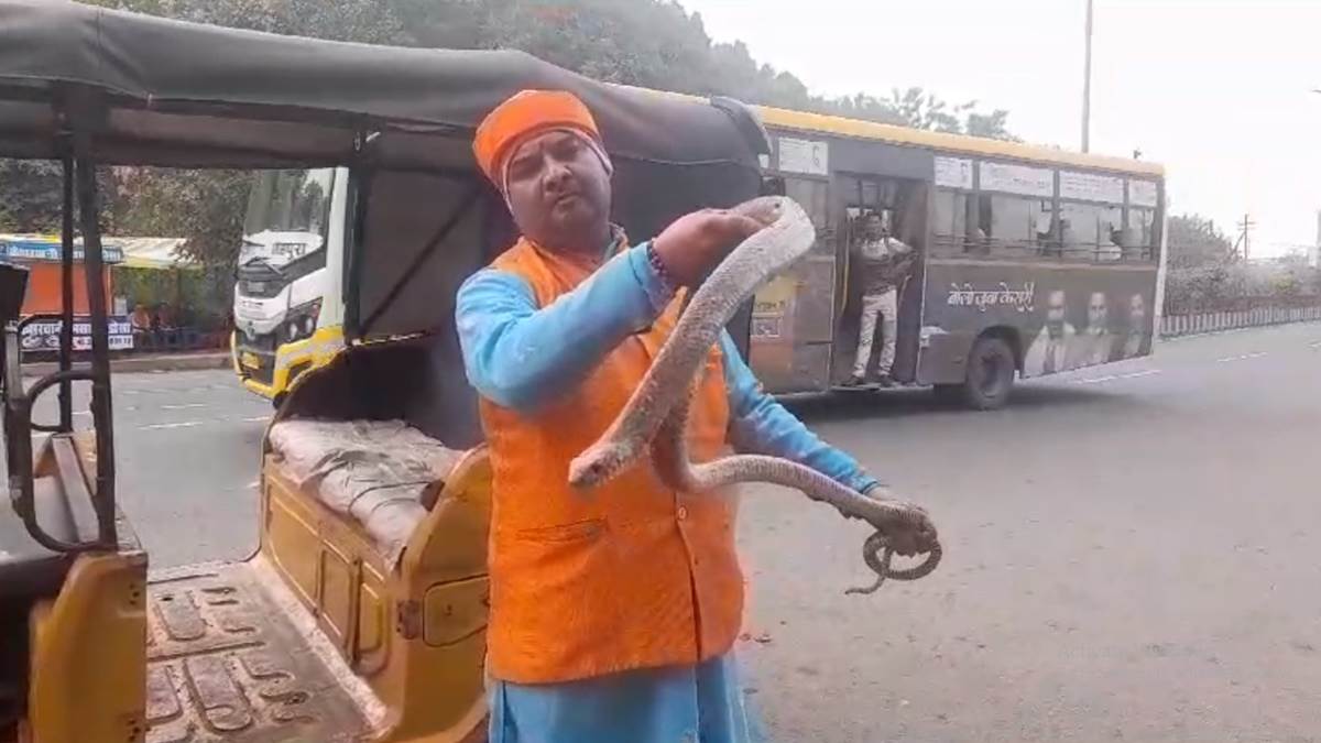 Jabalpur News कपड़े की दुकान में घुसा आठ फीट लंबा सांप Eight feet