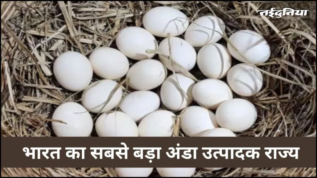 भारत का वो राज्य जिसे कहा जाता है 'अंडे की टोकरी', नाम सुनकर हैरान रह जाएंगे आप