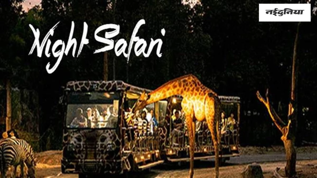 एक दिसंबर से टाइगर रिजर्व के बफर में नाइट सफारी बंद